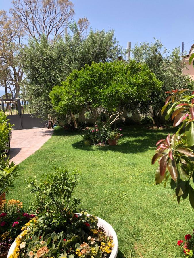 Готель Olive House. Вльора Екстер'єр фото